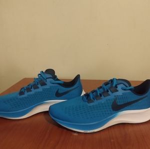 Nike zoom pegasus 37